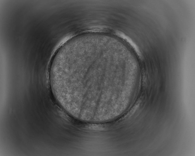 X0000086741362200705111626