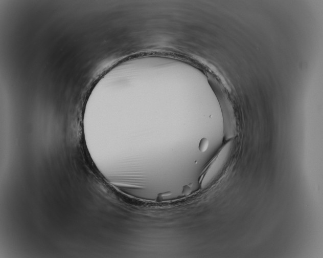 X0000086741363200705111626