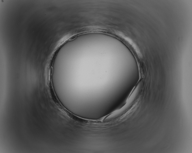 X0000086741365200705111626