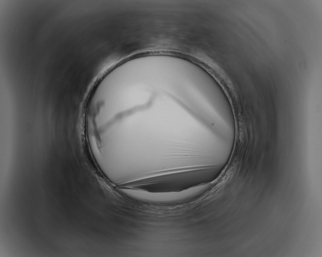 X0000086741366200705111626