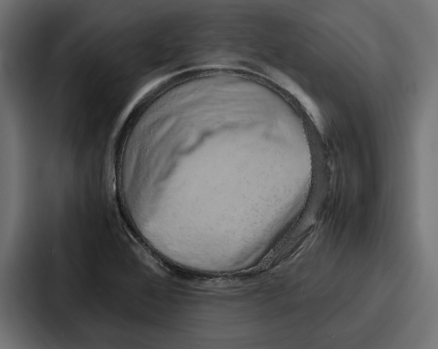 X0000086741368200705111626