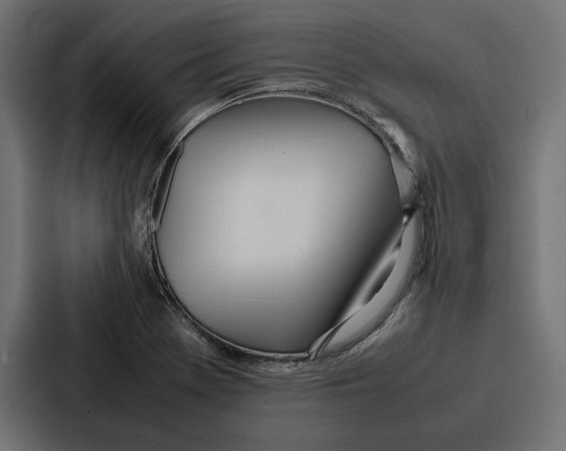 X0000086741369200705111626