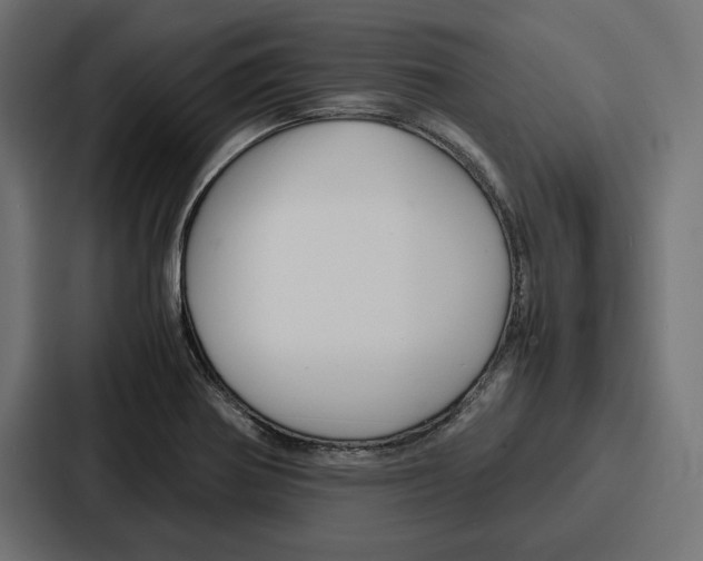 X0000086741370200705111626