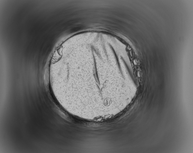 X0000086741371200705111626