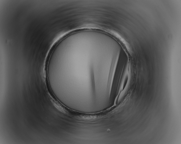 X0000086741372200705111626