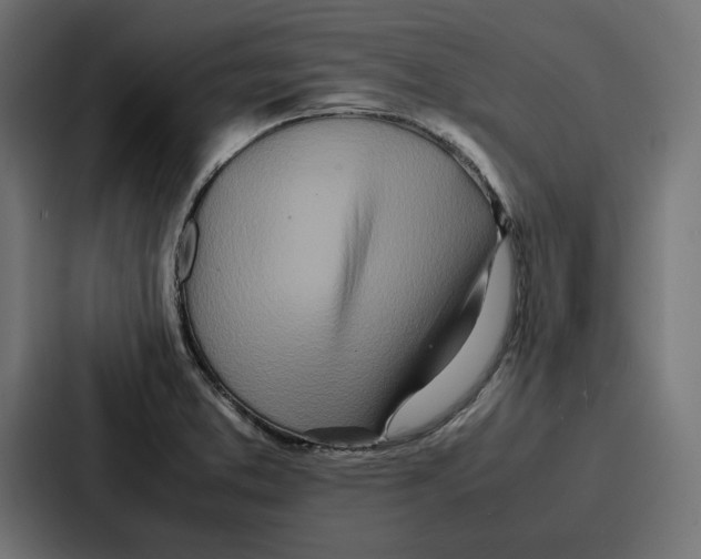 X0000086741373200705111626