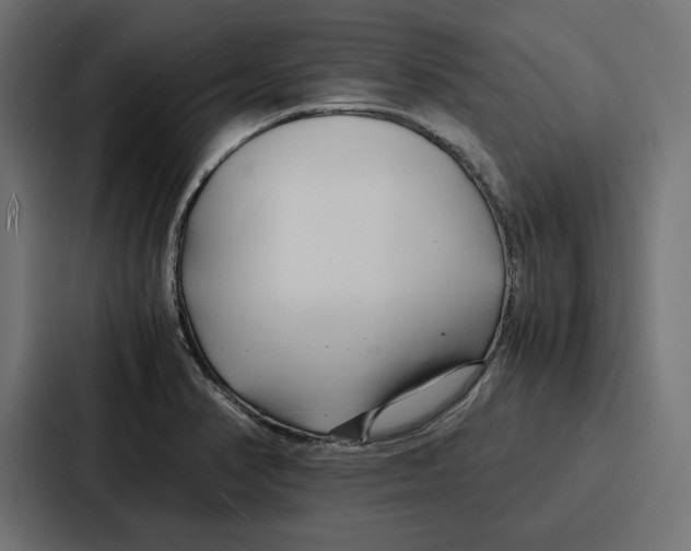 X0000086741374200705111626