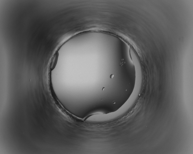 X0000086741375200705111626