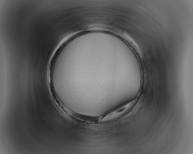 X0000086741376200705111626