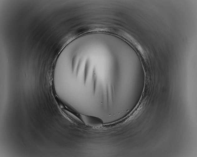 X0000086741377200705111626