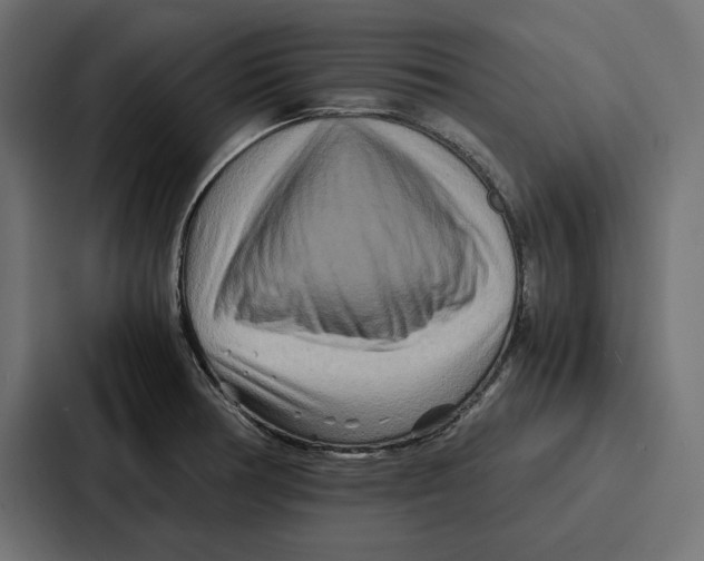 X0000086741378200705111626