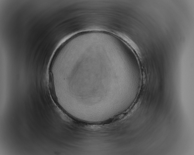 X0000086741380200705111626