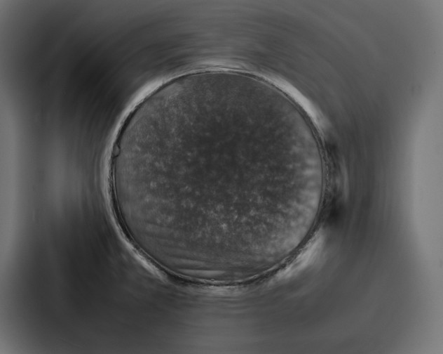 X0000086741381200705111626