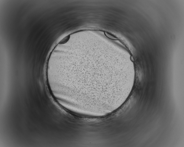 X0000086741382200705111626