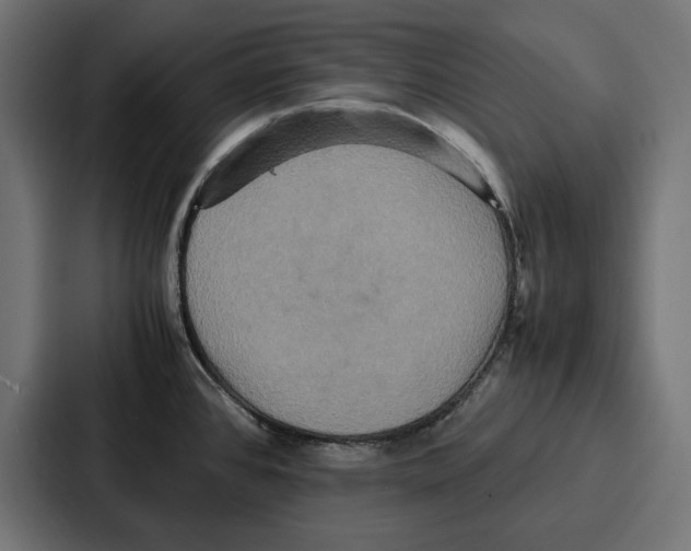 X0000086741384200705111626