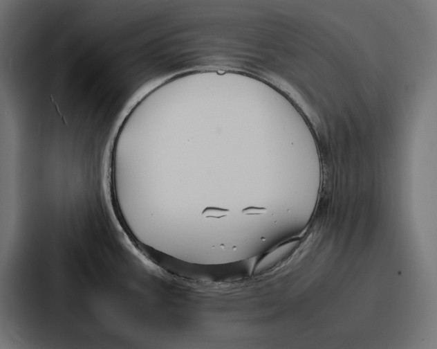 X0000086741387200705111626