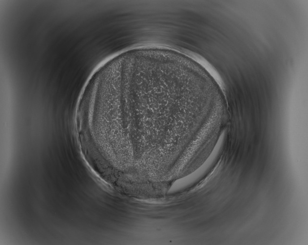 X0000086741388200705111626