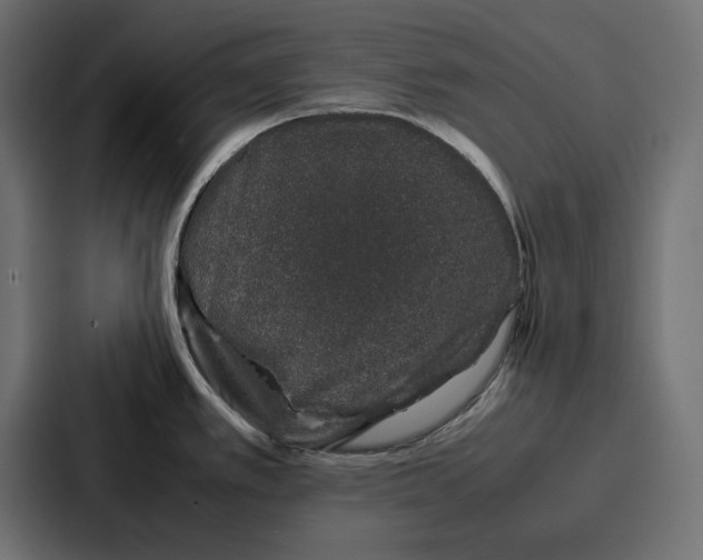 X0000086741389200705111626