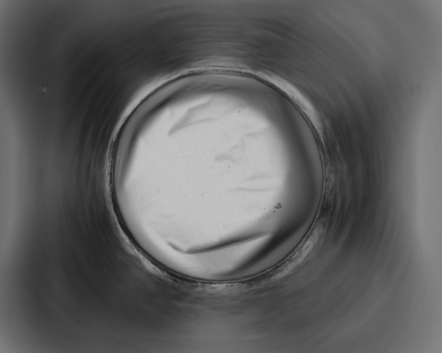 X0000086741390200705111626