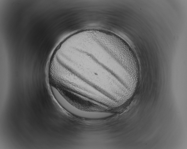 X0000086741392200705111626