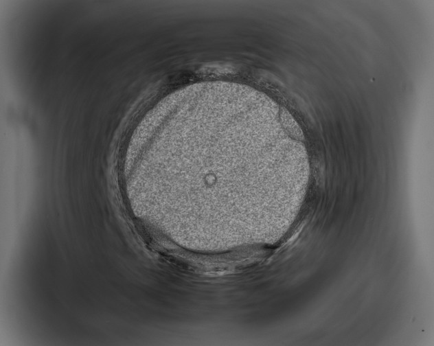 X0000086741393200705111625