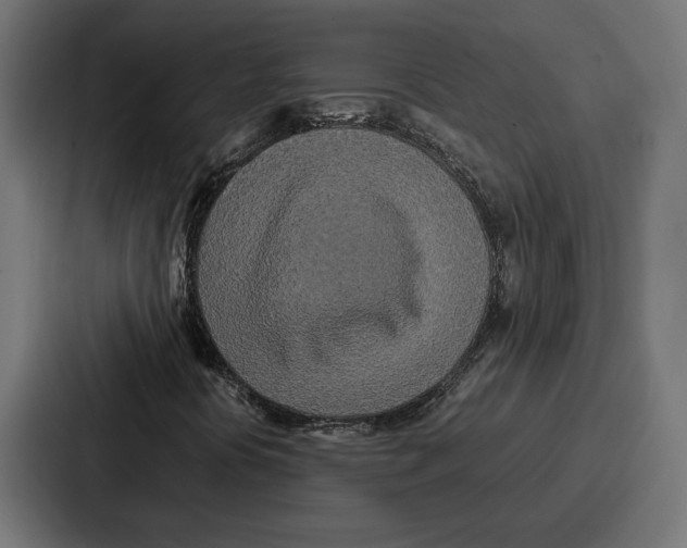 X0000086741394200705111625