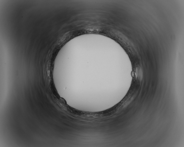 X0000086741396200705111625