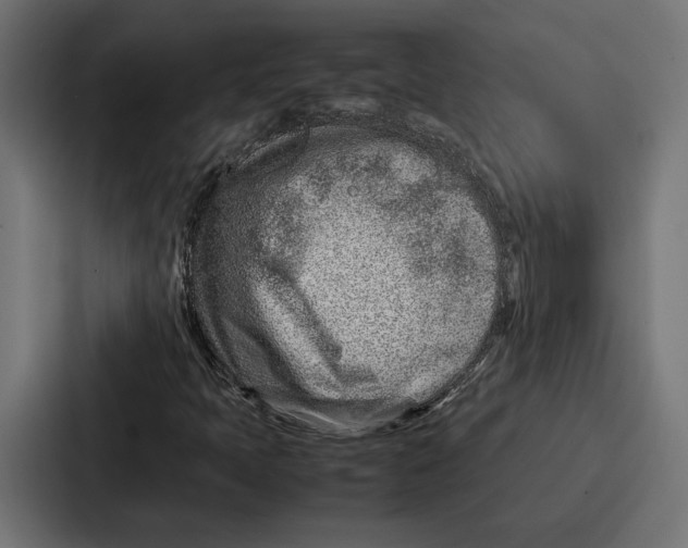 X0000086741397200705111625