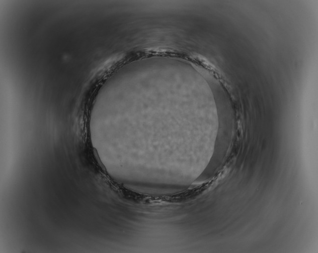 X0000086741398200705111625