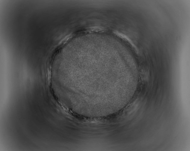 X0000086741399200705111625