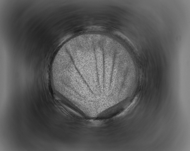 X0000086741401200705111625