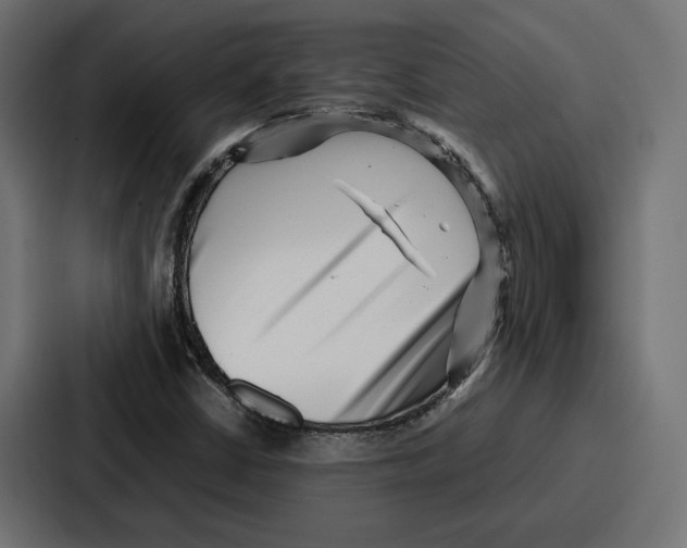 X0000086741402200705111626