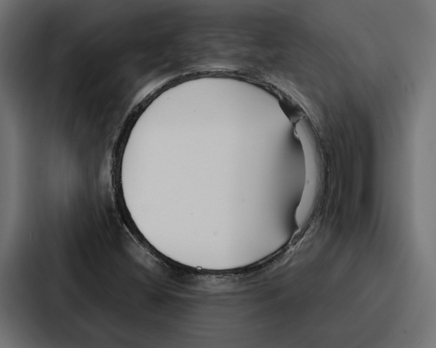 X0000086741404200705111626