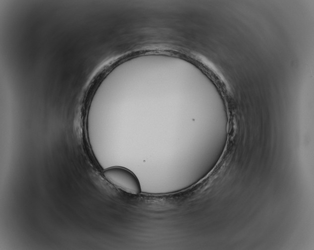 X0000086741408200705111626