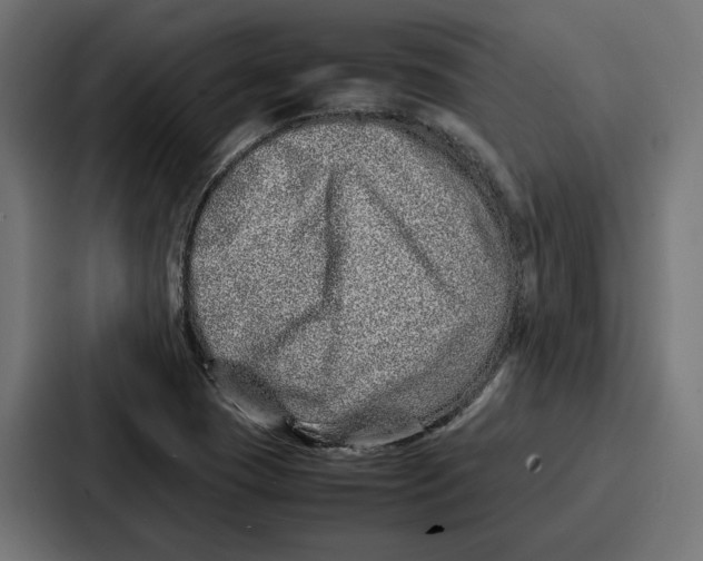 X0000086741409200705111626