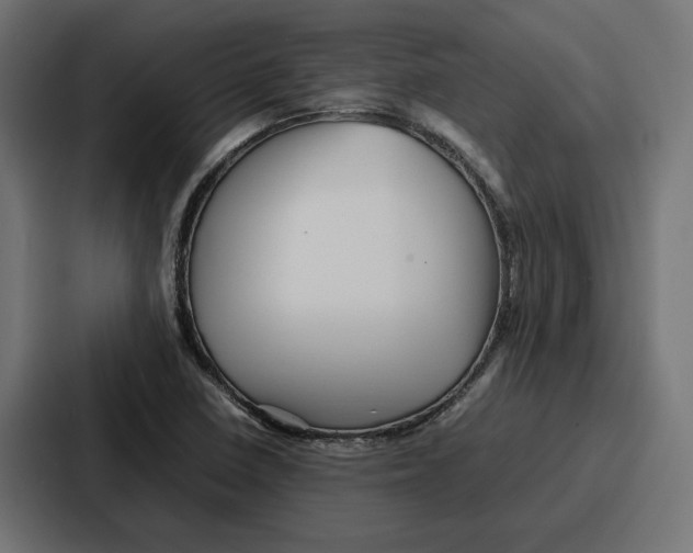 X0000086741410200705111626