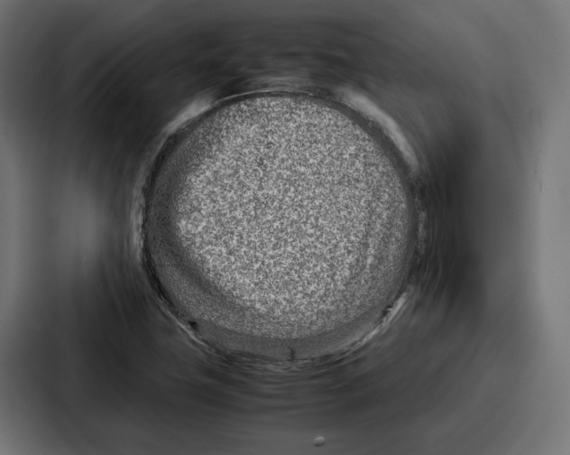 X0000086741411200705111626