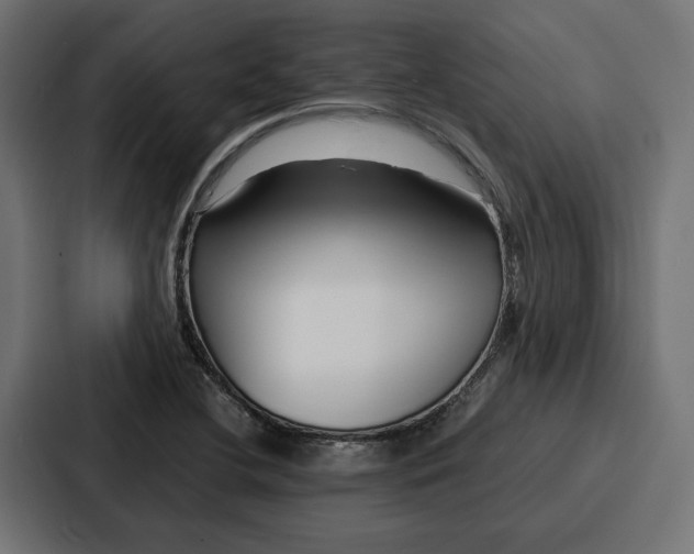 X0000086741412200705111626