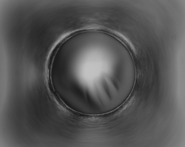 X0000086741414200705111626