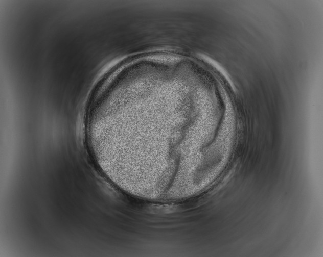 X0000086741415200705111626