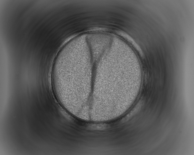 X0000086741417200705111626