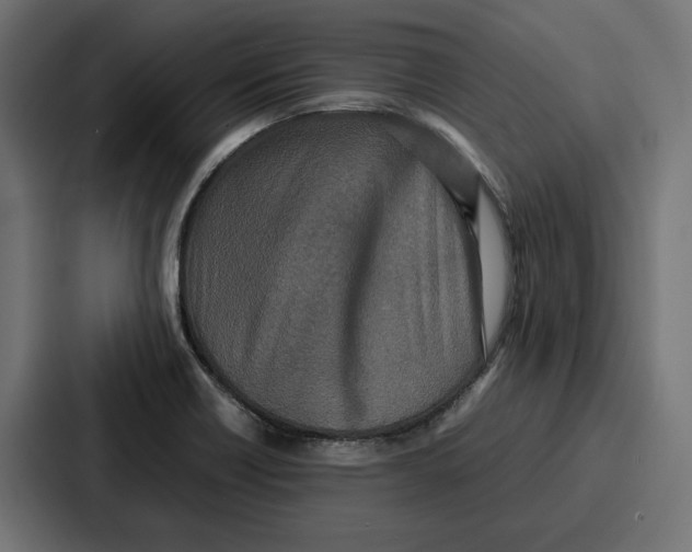 X0000086741418200705111626