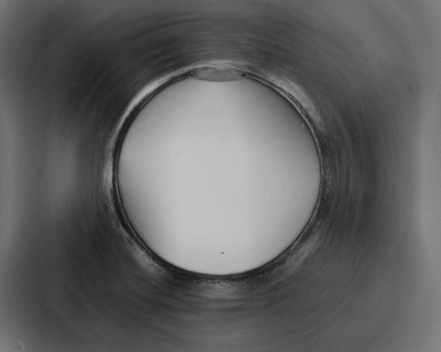 X0000086741420200705111626