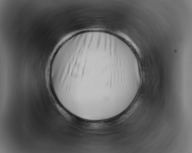 X0000086741421200705111626