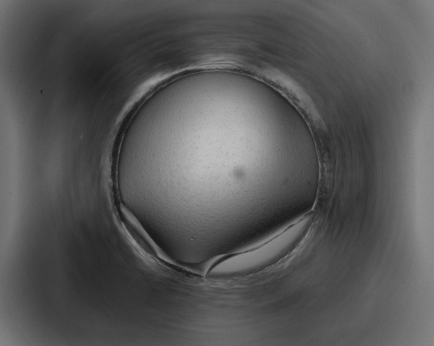 X0000086741422200705111626