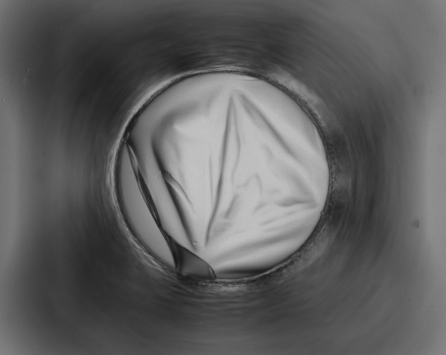 X0000086741423200705111626