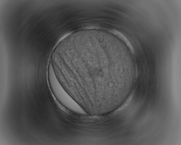 X0000086741425200705111626