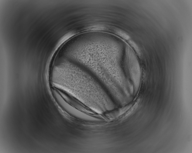 X0000086741426200705111626