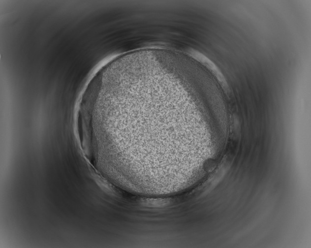 X0000086741427200705111626