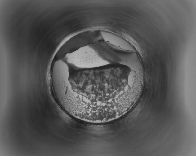 X0000086741428200705111626